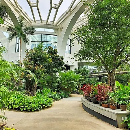 Hotel Tj